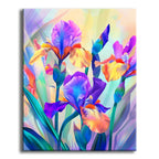 Iris-Glanz