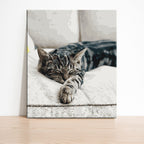 Malen-nach-Zahlen Set aus Ihrem Haustierfoto – Ein einzigartiges Porträt