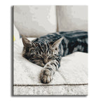 Malen-nach-Zahlen Set aus Ihrem Haustierfoto – Ein einzigartiges Porträt