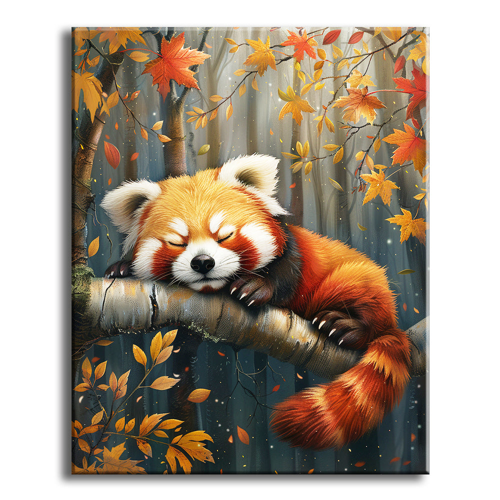 Schläfriger Roter Panda