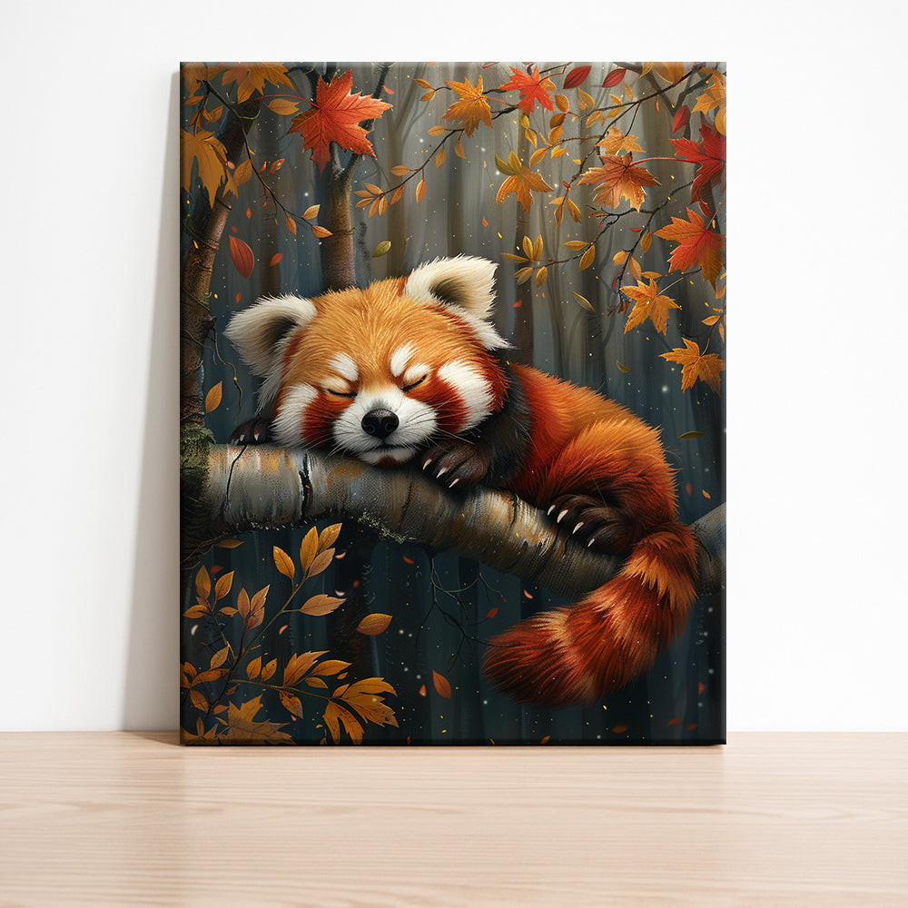 Schläfriger Roter Panda