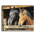 Stallgefährten – Malen nach Zahlen