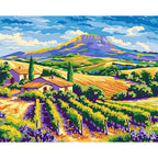 Weinberg-Aussicht